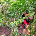 Bocah 8 Tahun Bangun dari Koma 55 Hari Berkat Suara Teman Sekelasnya: Kisah Liu Chuxi