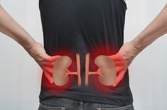 Gejala Awal Ginjal Bermasalah: 10 Tanda Dini yang Sering Diabaikan