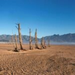 PP Tunas: Terobosan Global Pakar Pendidikan untuk Atasi Risiko Adiksi Digital Anak