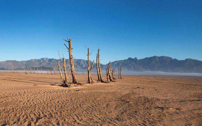 Super El Niño Musim Panas 2026: Akan Kalahkan Rekor Tahun Terpanas 2024?